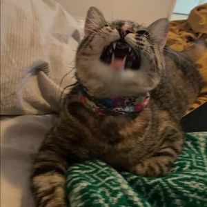 Meet your Posher, Ariane